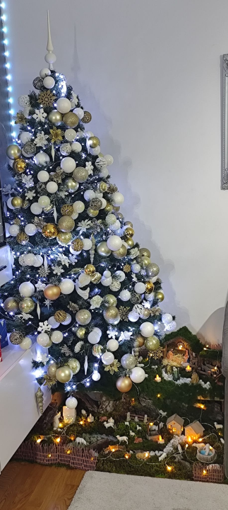 Odluka je pala: Donosimo vam pobjednike izbora najljepše božićne jelke ŠibenikIN-a