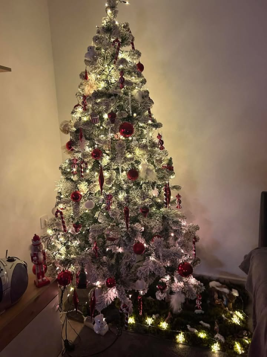 Odluka je pala: Donosimo vam pobjednike izbora najljepše božićne jelke ŠibenikIN-a