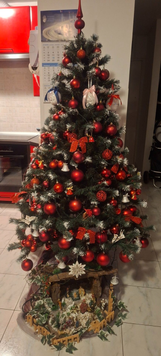 Odluka je pala: Donosimo vam pobjednike izbora najljepše božićne jelke ŠibenikIN-a