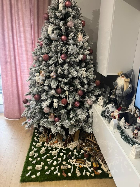 Odluka je pala: Donosimo vam pobjednike izbora najljepše božićne jelke ŠibenikIN-a