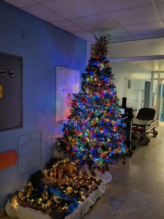 Odluka je pala: Donosimo vam pobjednike izbora najljepše božićne jelke ŠibenikIN-a