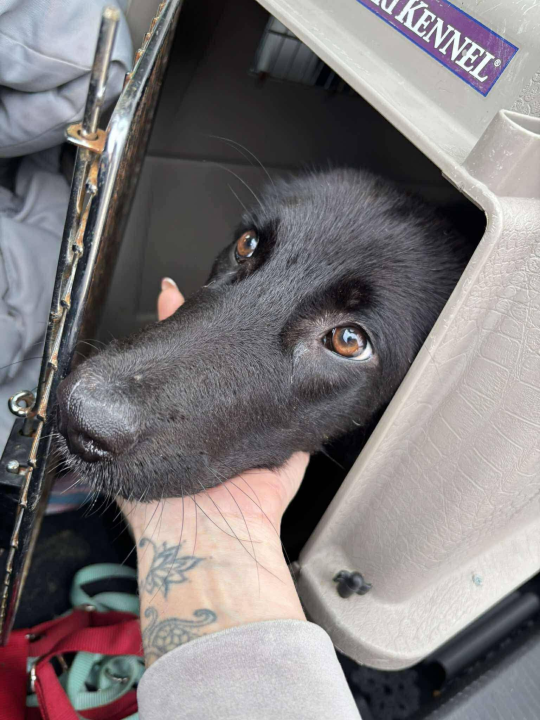 Pokrenut 'Lanac dobrote': Ovi sretnici su izašli iz šibenskog As Eka