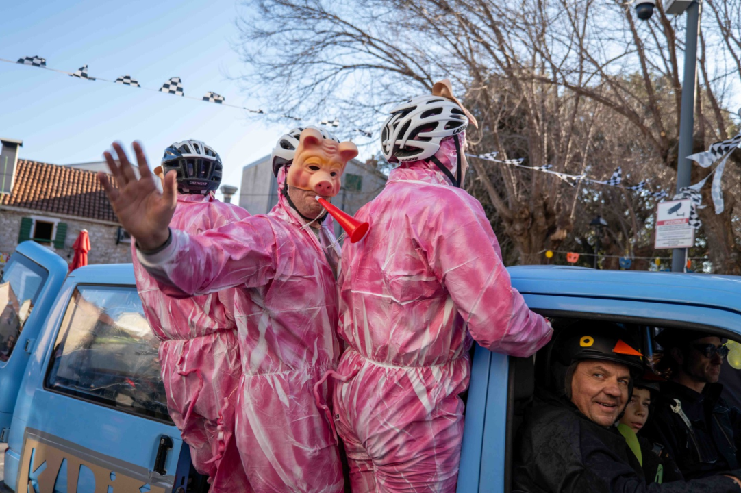 Vodička pokladna tradicija: 3 velika praščića pobjednici trke karića na balinjere