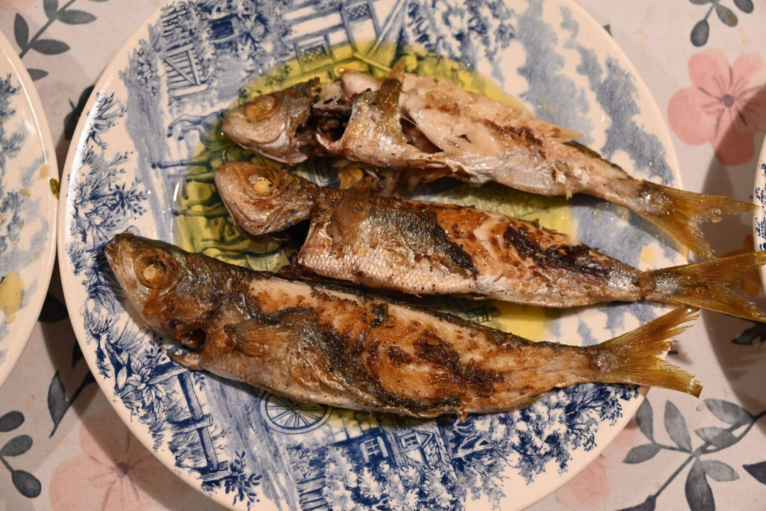 Šibenski bonkulović: Dolačke bugve na gradele