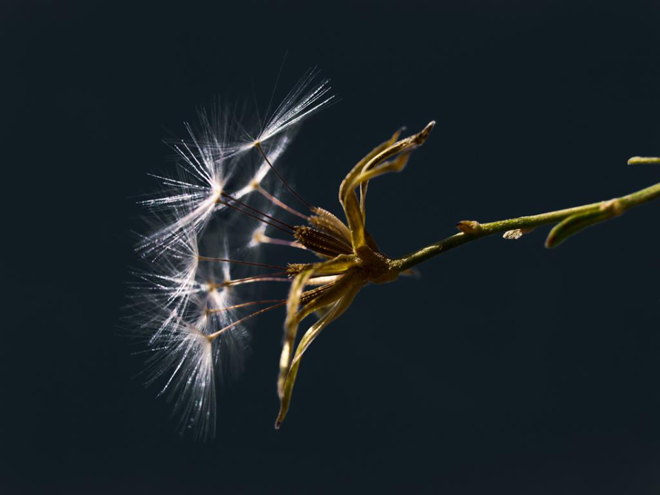 Suzana Čelić unatoč teškoj dijagnozi lučonoša je pozitive i kandidatkinja za 10. Šibensku grandecu