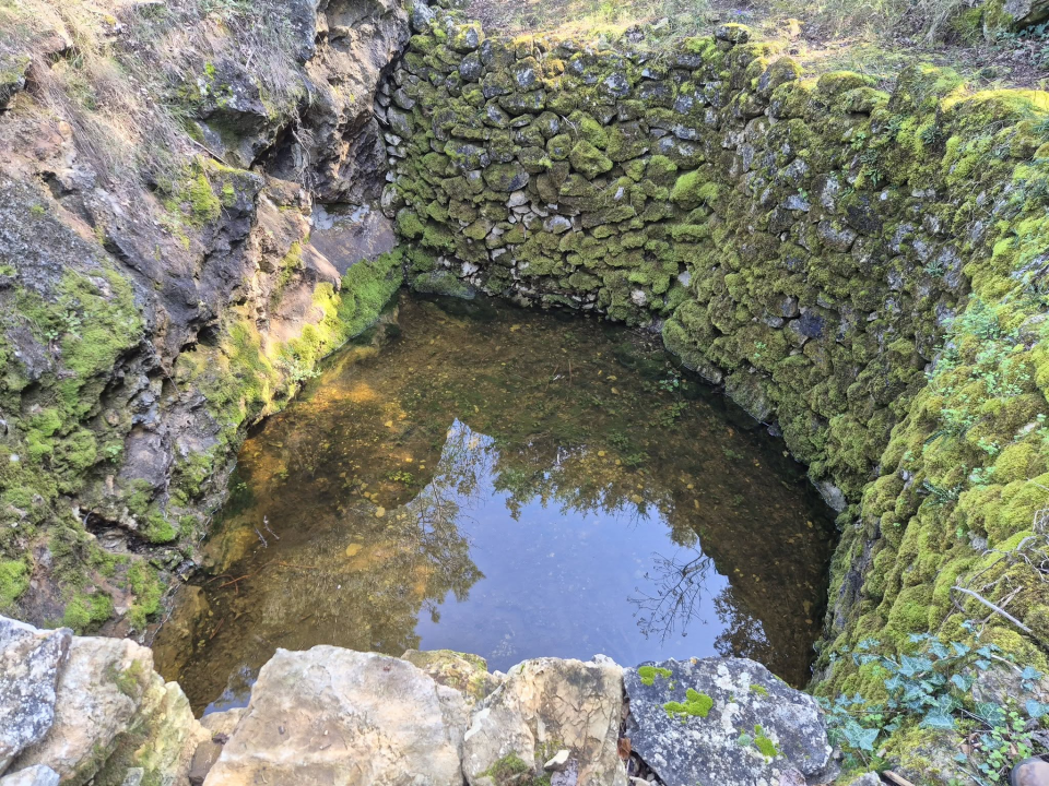 Kamen po kamen, biljku po biljku, Udruga Tatavaka i brojni volonteri udahnuli novi život Gnjilovači
