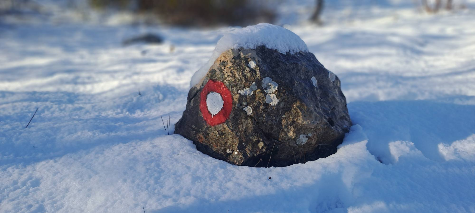 Za vikend se na Promina trailu trčalo u kratkim rukavima, a danas je prekrivena snijegom