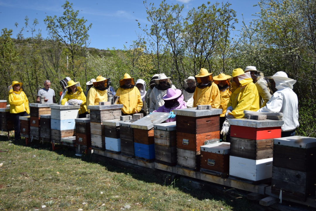 Pčelari s područja rijeke Krke usavršavali svoja znanja