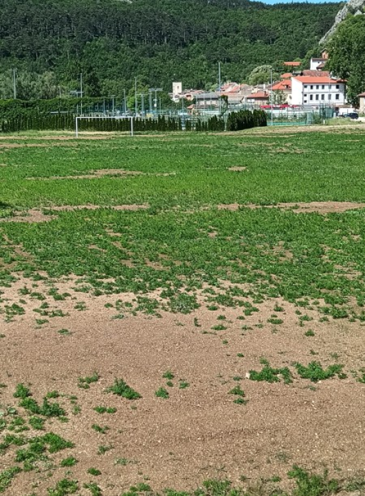 Apsurd na pomoćnom igralištu NK Dinara u Kninu