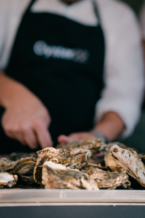 Oyster 22 predstavio autorsku kamenicu OYSTER KRKA by Mate Šučić