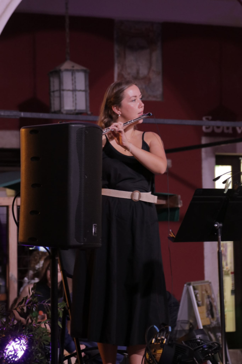 Gradski komorni orkestar ispred Gradske vijećnice zasvirao Gabi, Matiji i Arsenu u čast