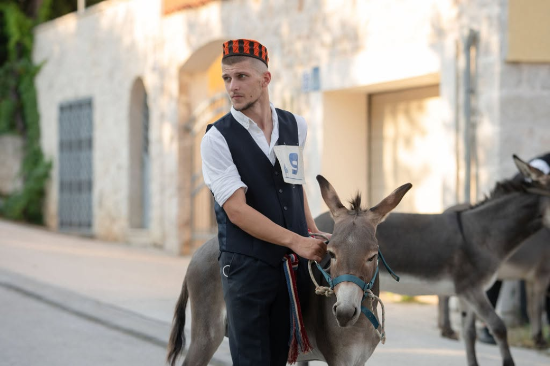 59. Tribunjske magareće trke