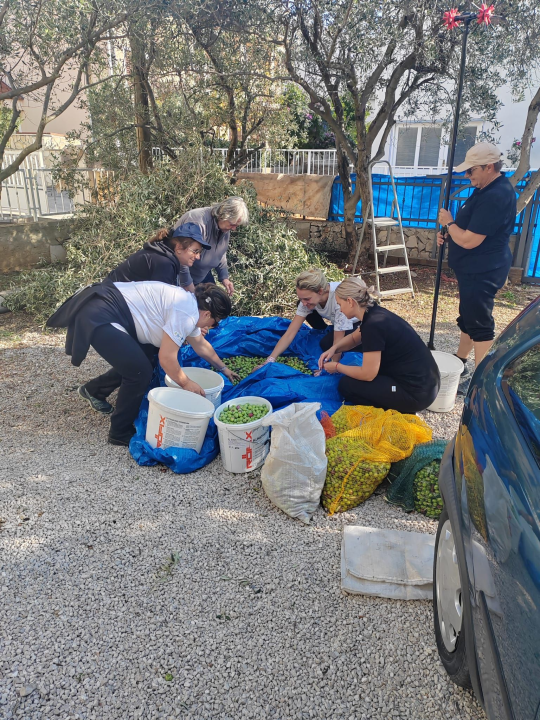 Vodice ponosne na svoje gerontodomaćice: 'One su oslonac našim starijima i nemoćnima'
