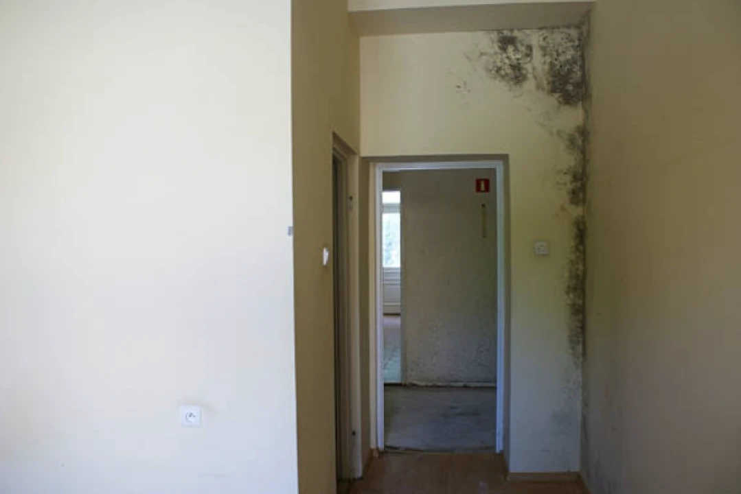 FOTO Sezona je završila: Izbjegnite vlagu u zatvorenim prostorima kad gosti odu