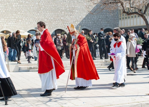 Fotografija 6 - Procesijom, misom i blagoslovom maslinovih grančica Šibenčani proslavili Cvjetnicu