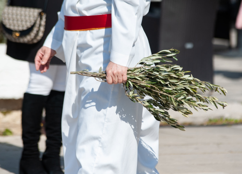 Fotografija 28 - Procesijom, misom i blagoslovom maslinovih grančica Šibenčani proslavili Cvjetnicu
