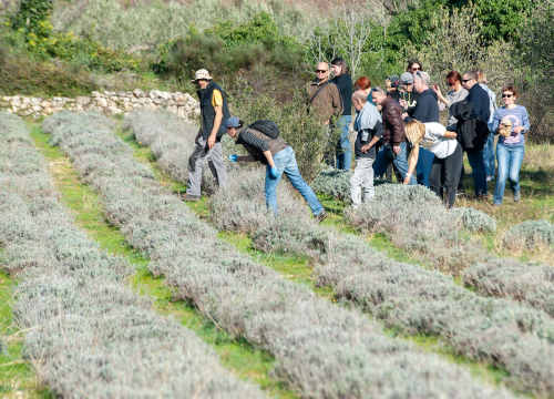 Fotografija 23 - Završen projekt 'Putokaz do boljeg sutra'