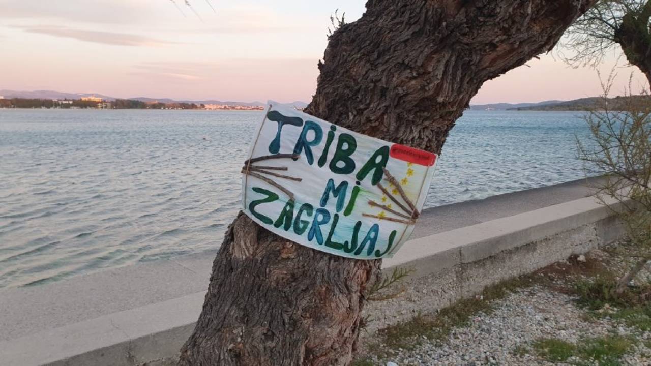 Među najboljih 15 stabala 'koja su progovorila' i jedno iz Vodica