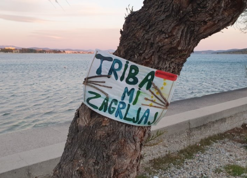 Među najboljih 15 stabala 'koja su progovorila' i jedno iz Vodica