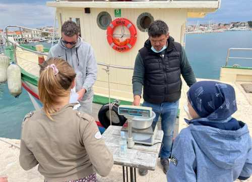 Fotografija 2 - Na kamenju Velikog porta održano natjecanje u ribolovu 'Čap s obale 2021.'