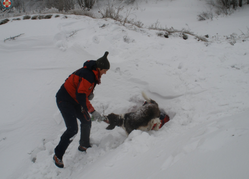 Fotografija 3 - Uginula je Aki, potražni pas GSS-a: U svojoj je karijeri pronašla četvero ljudi, a uz Vodičanku Blanku Lučić bila je 13 godina