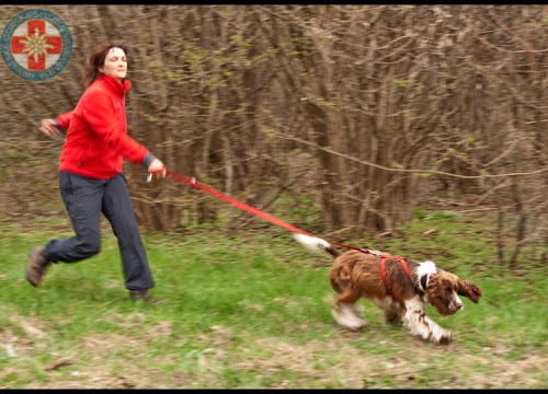 Fotografija 7 - Uginula je Aki, potražni pas GSS-a: U svojoj je karijeri pronašla četvero ljudi, a uz Vodičanku Blanku Lučić bila je 13 godina