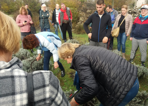 Fotografija 4 - Iz udruge EMEDEA pozivaju nezaposlene da se prijave na besplatan program obrazovanja odraslih!