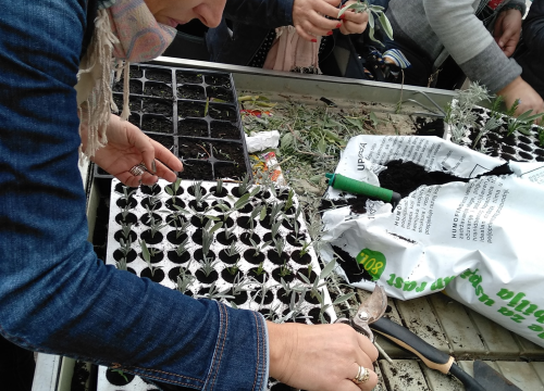 Fotografija 3 - Iz udruge EMEDEA pozivaju nezaposlene da se prijave na besplatan program obrazovanja odraslih!