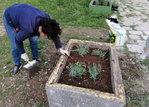 Fotografija 11 - Pričali smo s curama i dečkima iz Šepurine: Od sadnje cvijeća do popravka balotane,  rade sto na sat i odlično ih ide