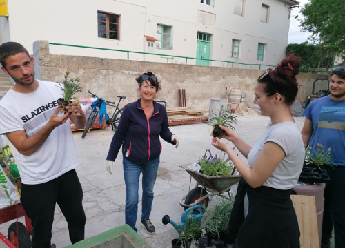 Fotografija 12 - Pričali smo s curama i dečkima iz Šepurine: Od sadnje cvijeća do popravka balotane,  rade sto na sat i odlično ih ide