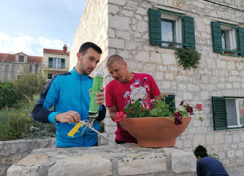 Fotografija 15 - Pričali smo s curama i dečkima iz Šepurine: Od sadnje cvijeća do popravka balotane,  rade sto na sat i odlično ih ide