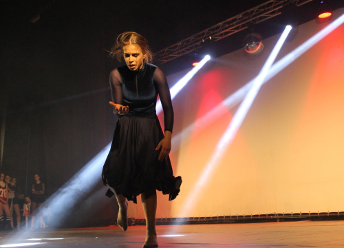 Poljanu zaposjedaju mladi plesači!