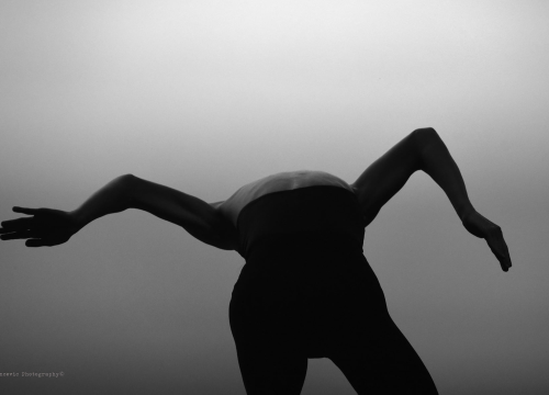 Fotografija 3 - Srpske i mađarske plesačke zvijezde oduševile publiku u Kući umjetnosti Arsen