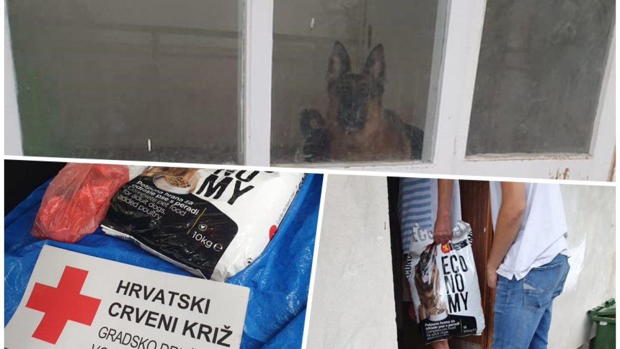 Ljudi velikog srca ekspresno pomogli vodičkom barbi i njegovom psu