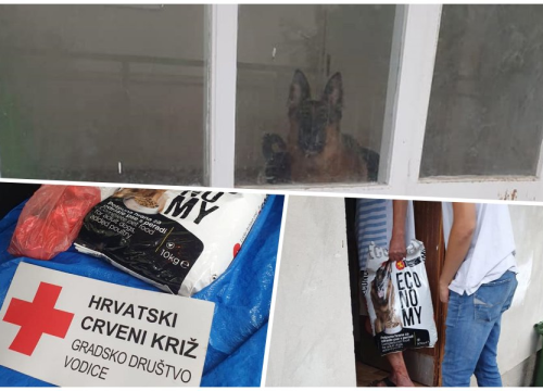 Ljudi velikog srca ekspresno pomogli vodičkom barbi i njegovom psu