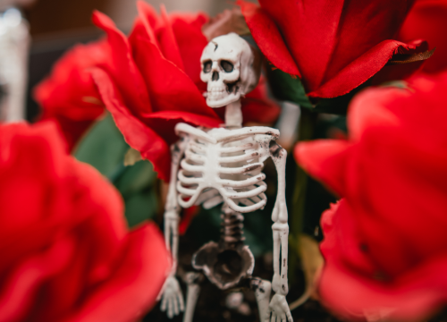 Fotografija 6 - U Šibeniku Halloween i Holywin podjednako popularni: Jedno je cjelonoćna molitva, drugo maskirani ples