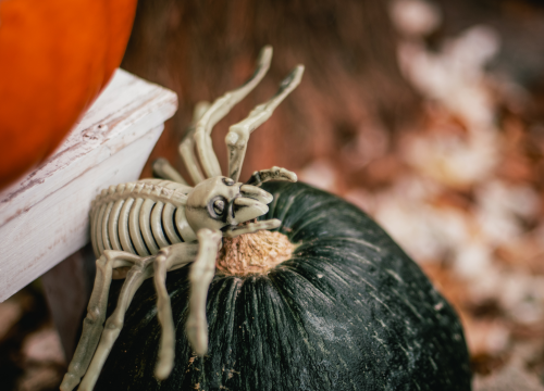 Fotografija 9 - U Šibeniku Halloween i Holywin podjednako popularni: Jedno je cjelonoćna molitva, drugo maskirani ples