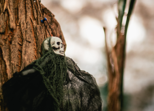 Fotografija 11 - U Šibeniku Halloween i Holywin podjednako popularni: Jedno je cjelonoćna molitva, drugo maskirani ples