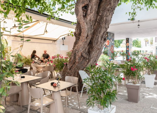 Fotografija 9 - Ne propustite Dane šparoga u Bavi!