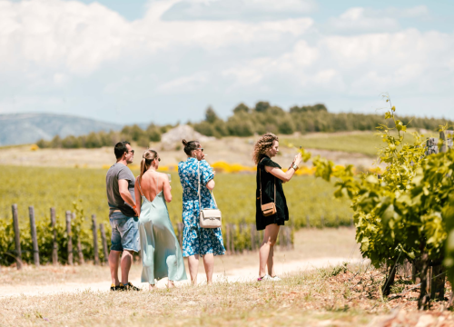 Fotografija 6 - Uživajte u rapsodiji okusa Šibensko-kninske županije na 'Danima otvorenih kušaonica'!