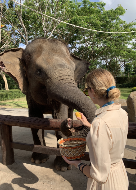 Šibenčanka Lucia Kulušić o iskustvu studija na jednom od najboljih sveučilišta na svijetu