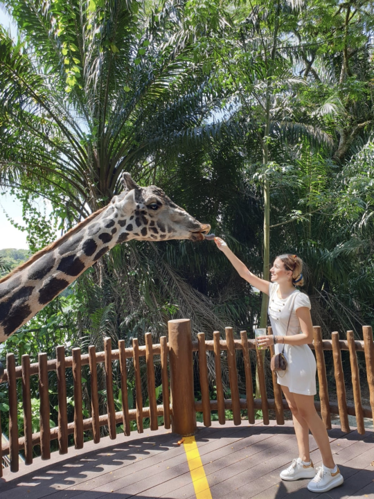 Šibenčanka Lucia Kulušić o iskustvu studija na jednom od najboljih sveučilišta na svijetu