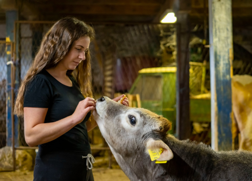 Fotografija 14 - Studirajte na Veleučilištu 'Marko Marulić' u Kninu!