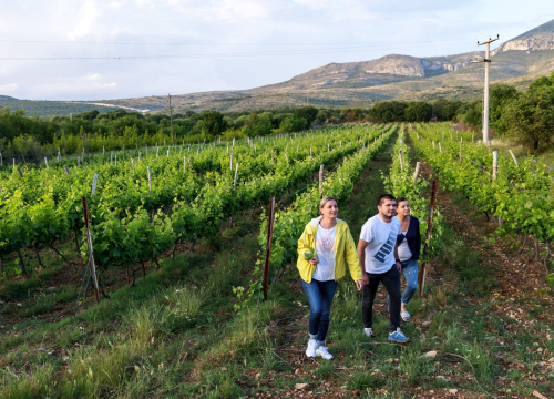 Fotografija 16 - Studirajte na Veleučilištu 'Marko Marulić' u Kninu!