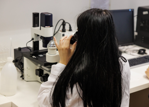 Fotografija 20 - Studirajte na Veleučilištu 'Marko Marulić' u Kninu!