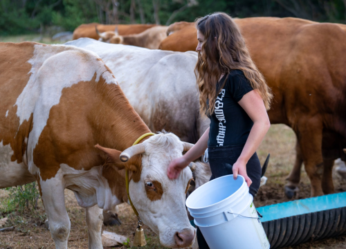 Fotografija 25 - Studirajte na Veleučilištu 'Marko Marulić' u Kninu!