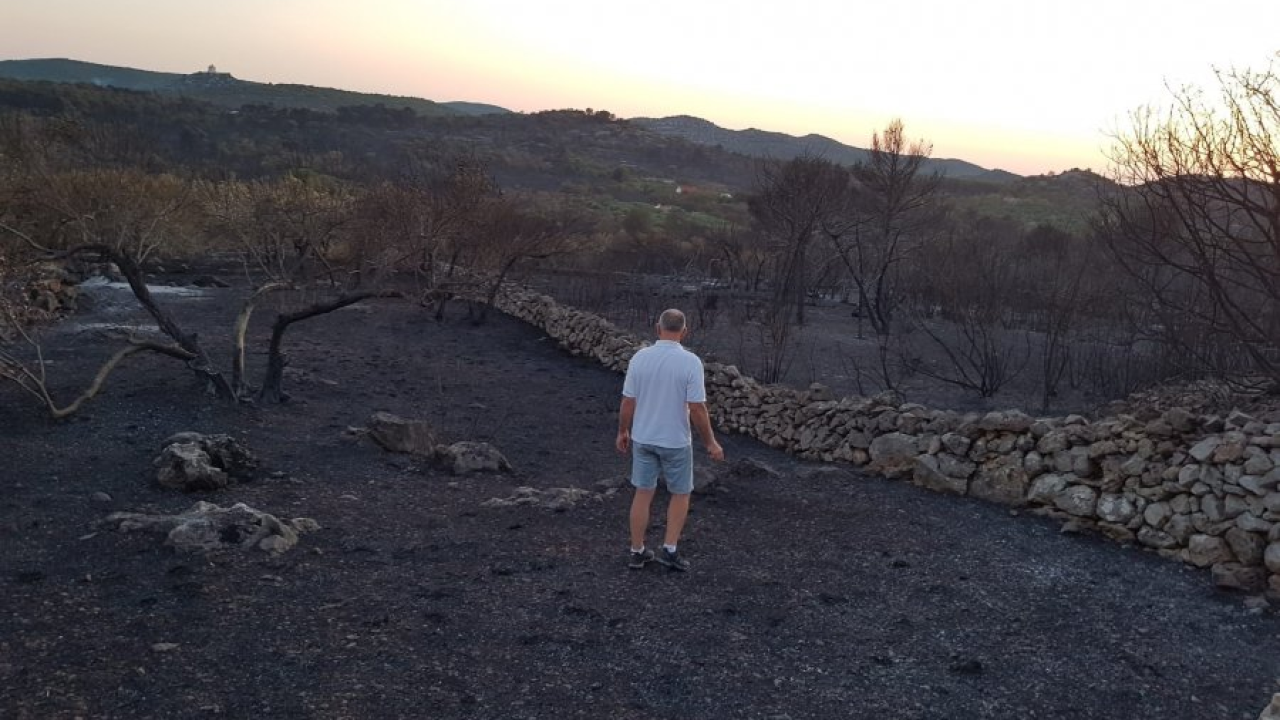 Posljedice požara u zaleđu: 'Izgorile su sve masline, ne vjerujem da se može išta spasiti'