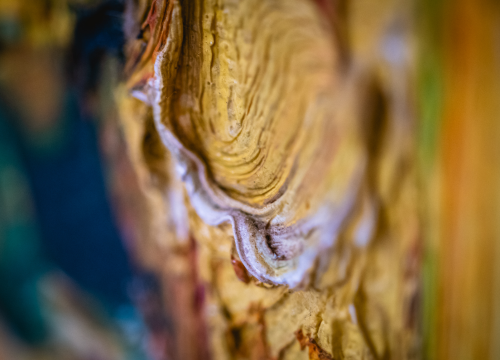 Fotografija 13 - Murtićev apstraktni brod i Vežin pejzaž potražite u Galeriji Juraj Dalmatinac