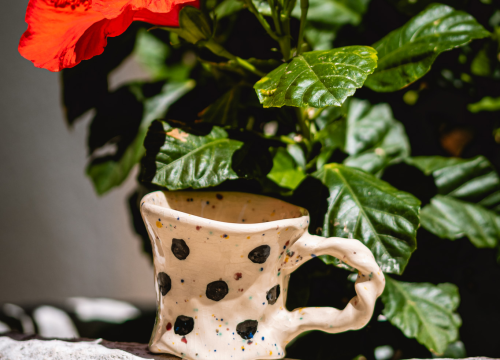 Fotografija 15 - Murtićev apstraktni brod i Vežin pejzaž potražite u Galeriji Juraj Dalmatinac