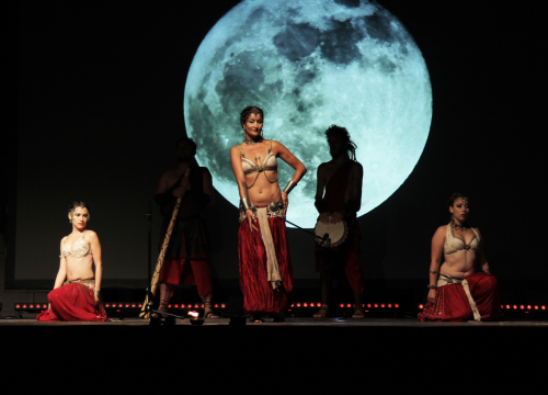 Fotografija 4 - Ne propustite XIV. Burnumske Ide: Nastupaju 4 Tenora i Metaklapa!